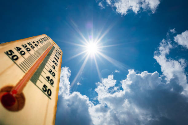 From Sweltering to Smiling: How Sarah Beat Florida's Heat Wave